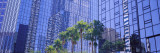 Reflective Buildings, Tampa, Florida, USA Wall Decal by Panoramic Images 