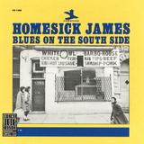Homesick James - Blues on the South Side Wall Decal