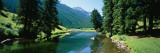 Reflection of Trees on a River, Boulder River, Absaroka-Beartooth Wilderness Area, Montana, USA Wall Decal by Panoramic Images 