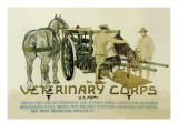 Veterinary Corps. U.S. Army Vinilos decorativos por Schreck Veterinary Corps. U.S. Army Vinilos decorativos por Schreck