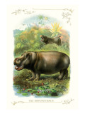 The Hippopotamus Wall Decal