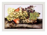 Grapes and Pears with a Snail Autocollant mural par Giovanna Garzoni