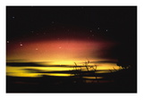 Aurora Australis on Kangaroo Island Vinilos decorativos por David Miller Aurora Australis on Kangaroo Island Vinilos decorativos por David Miller