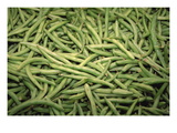 Green Beans Wall Decal by Ken Hammond