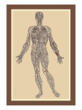 Système nerveux Autocollant mural par Andreas Vesalius