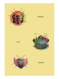 Beetles of Sumatra, Java and America Wall Decal by Sir William Jardine