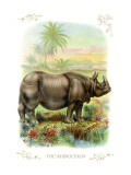 The Rhinoceros Wall Decal