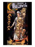 Samri S. Baldwin, The White Mahatma and a Superb Company Vinilos decorativos