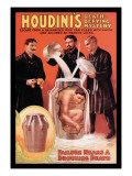 Houdini's Death-Defying Mystery Wall Decal