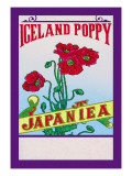 Iceland Poppy Tea Wall Decal