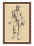 Man wandtattoos von Andreas Vesalius