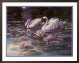 Swans and Bridge Print by T. C. Chiu