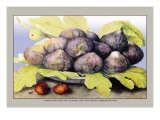 Dish with Figs, Fig Leaves and Small Pomegranates Autocollant mural par Giovanna Garzoni
