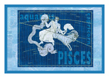 Capricorn and Aquarius Wall Decal
