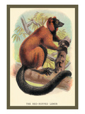 The Red-Ruffed Lemur Wall Decal by Sir William Jardine