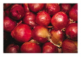 Red Onions Wall Decal by Ken Hammond