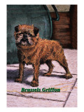 Typical Brussels Griffon Champion Wall Decal