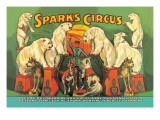 Sparks Circus Wall Decal