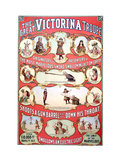 The Great Victorina Troupe Vinilos decorativos The Great Victorina Troupe Vinilos decorativos