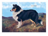 Reverend Hamilton's Collie Wall Decal