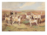 West Country Harriers Wall Decal by Thomas Ivester Llyod