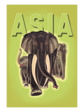 Indian Elephants Vinilos decorativos por Robert Harrer Indian Elephants Vinilos decorativos por Robert Harrer