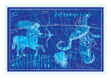 Scorpio, Sagittarius and Lupus Wall Decal