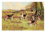 Beagles Wall Decal by Thomas Ivester Llyod