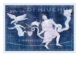 Ophiuchus and Serpens Wall Decal