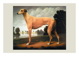 Greyhound on a Parkland Landscape Wall Decal by Christine Merrill