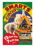 Billy Smart's New World Circus and Menagerie: 12 Polar Bears, 7 Black Bears Wall Decal