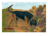 Bloodhound Champion Wall Decal
