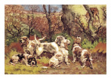 Griffon Vendeen Bassets Wall Decal by Baron Karl Reille