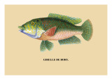 Girelle de Bory Vinilos decorativos