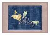 Pisces and Aries Wall Decal