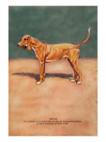 Remus Wall Decal by Baron Karl Reille