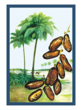 Dates Wall Decal
