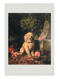 Amateur Gardener Wall Decal by Lambert 