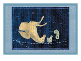 Delphinus, Equuleus and Pegassus Wall Decal