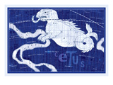Cetus and Eridanus Wall Decal