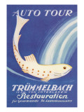 Auto Tour Trummelbach Wall Decal by Anton Trieb