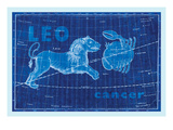 Cancer and Leo Wall Decal