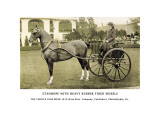 Panel Boot Victoria Wall Decal