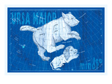 Ursa Major and Leo Minor Wall Decal