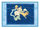 Capricorn and Aquarius Wall Decal