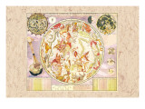 The Southern Sky Wall Decal by Carel Allard
