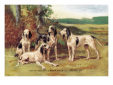 Gascon-Saintongeois Hounds of the Virelade Type Wall Decal by Baron Karl Reille