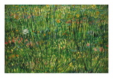 Patch of Grass Wall Decal by Vincent van Gogh