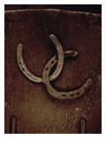 Lucky Horse Shoes on Rust Metallic Lepicí obraz na stěnu Lucky Horse Shoes on Rust Metallic Lepicí obraz na stěnu