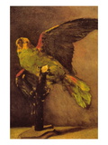 Parrot Wall Decal by Vincent van Gogh